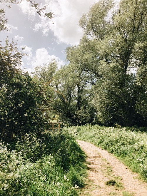 22.05.20 | a walk in the countryside