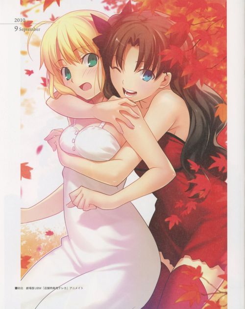 [TYPE-MOON] Fate/Art Chronicle Fate 10th Anniversary Art Book (Fate/stay night, Fate/hollow ataraxia)