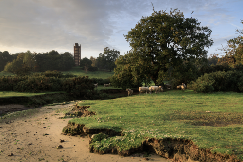 robert-hadley: Flock at Freston, Suffolk by Justin Minns