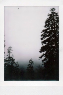 covered-with-mist:  http://covered-with-mist.tumblr.com/