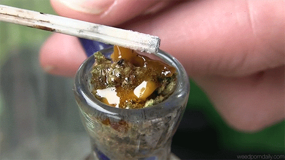 weedporndaily:  the thc runs golden in the rivers of mt. hashimus