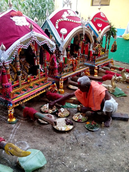 Dola Yatra (holi) at Odisha, procession of village deities of Radha and Krishna