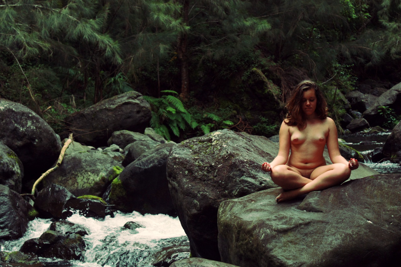 wisetigress:  Meditation - Shell’s self portrait (Do not delete, modify, or add