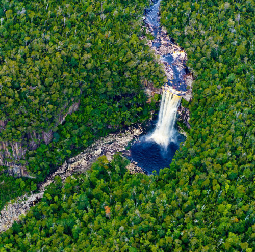 amitrips: Vanishing Falls on the Salisbury River, Tasmania. Vanishing Falls lie in the heart of the 