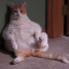 chubbychan2020