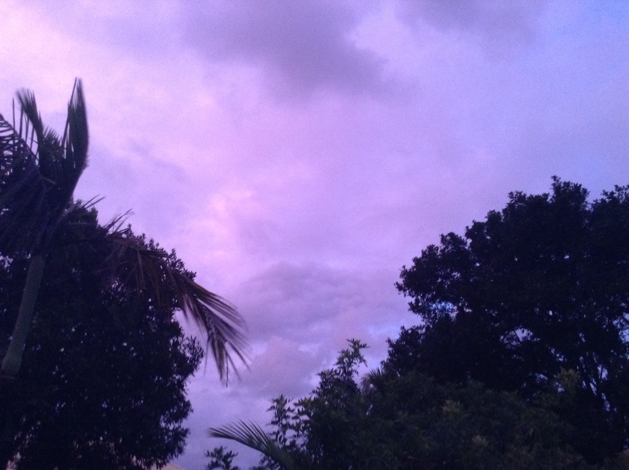 evictist:  The evening sky was unbelievable omg
