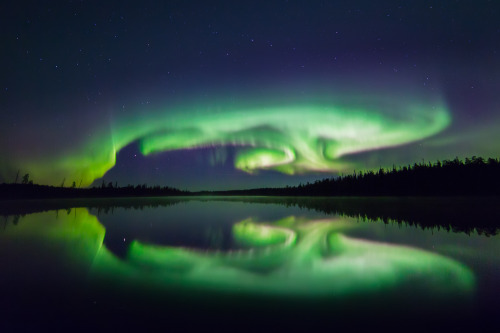 tiinatormanenphotography: One night magic, crazy auroras and then bright stars shining.  So man