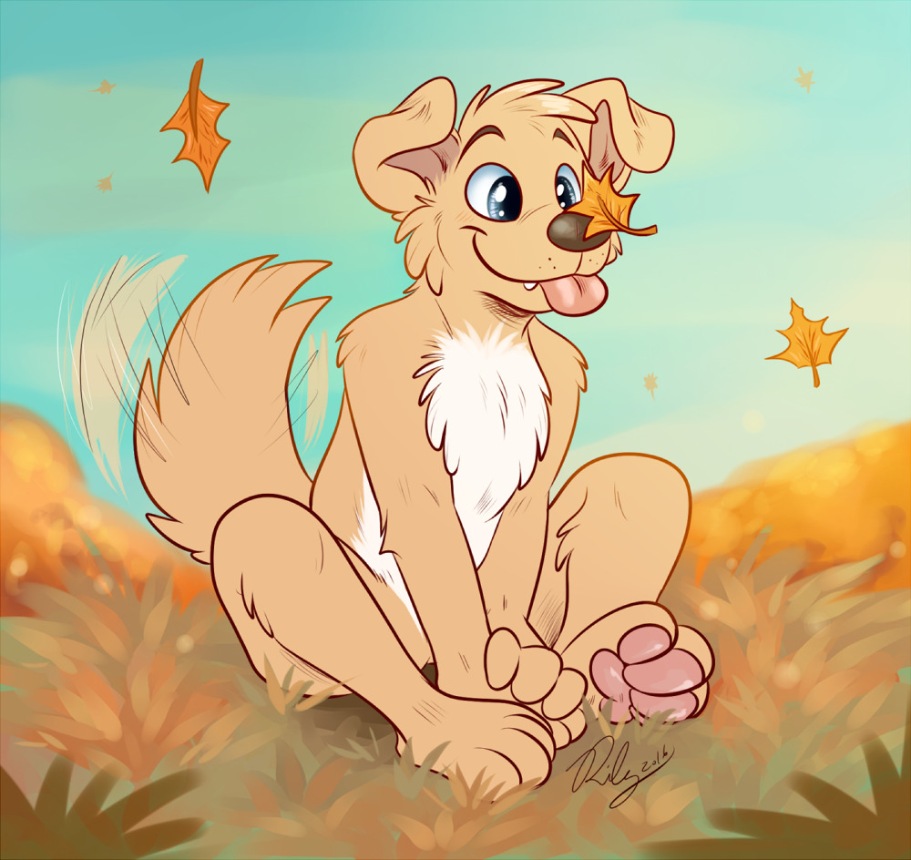 a-gay-cat:   fall pup - by Rileyy x3