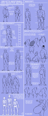 rittsrotts:  A subjective and questionable Ritts anatomy tutorial!thanks to you all on my patreon&lt;3 https://www.patreon.com/87452