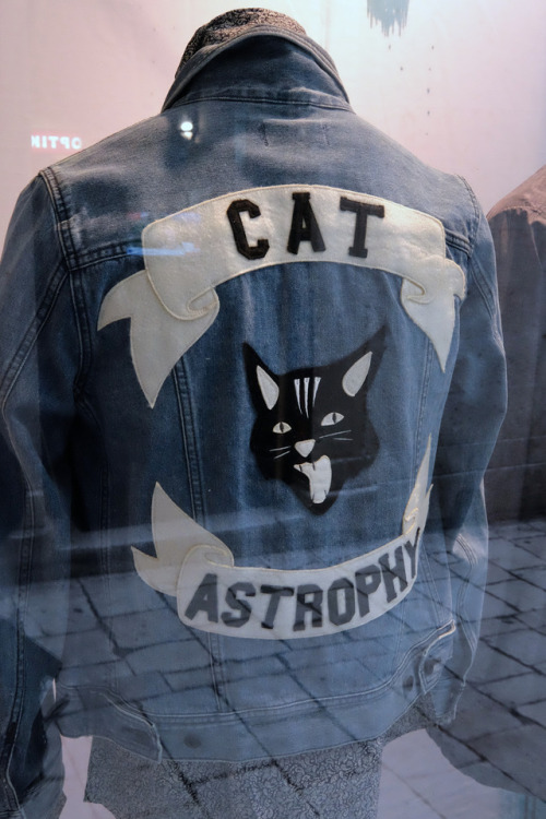 scavengedluxury:Cat astrophy. Split, September 2017.
