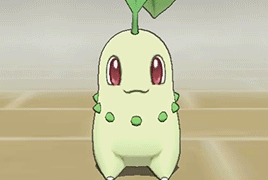 chasekip:Grass-type Starter Pokemon