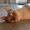 kingsley-on-fire:ALTShhh I don’t have a nose