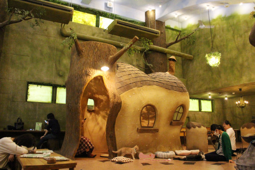 travelry: The most beautiful cat cafe I have been to. It’s called Temari no Ouchi (Temari’s house) i