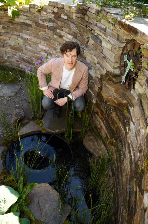 nixxie-fic:  Benedict Cumberbatch in the 2010 Stephen Hawking garden at RHS Chelsea Flower Show.
