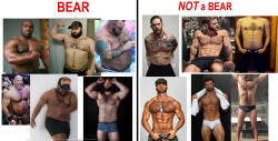 homo-nerd-grizz:  cubvet:  sailorhomoputo: desolation5row: here since none of you know what a bear is     Bears need to have fucking fat!!!!!!  