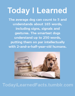 todayilearnedfacts: Follow TodayiLearnedFacts for more Daily Facts! Source 