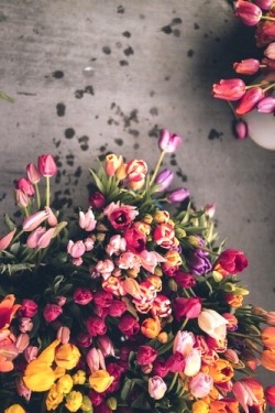 widit:  Tulip & Roses // Requested  I
