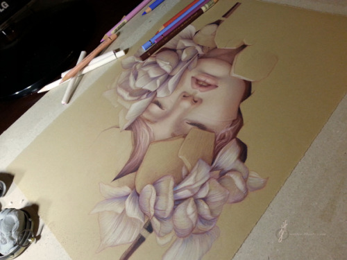 showslow:  Jennifer Healy