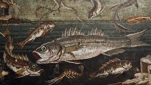 historical-nonfiction:Pompeii mosaic emblem depicting marine animals, pre 79 CE