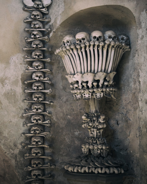 Porn dariaendresen: Sedlec ossuary, Kutná Hora photos