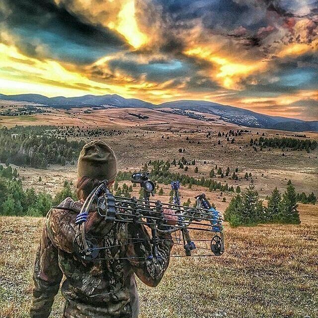 Country Gone Wild