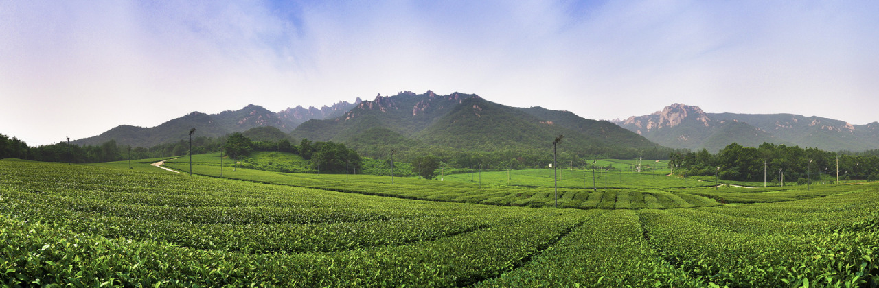 lovesouthkorea:  Sceneries of South Korea by Brandon HM Oh 