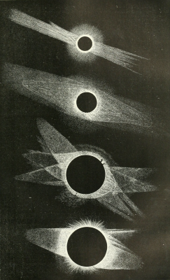 nemfrog:The corona of the solar eclipse of