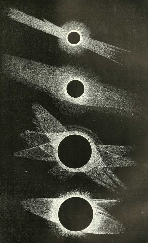 The Corona Of The Solar Eclipse Of July 29, 1878, From Different Sources. Knowledge. V.11. August 1,