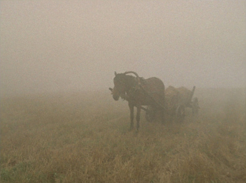 lyingfigure: liinza: Come and See, Elem Klimov, 1985 now THIS is a horror movie 