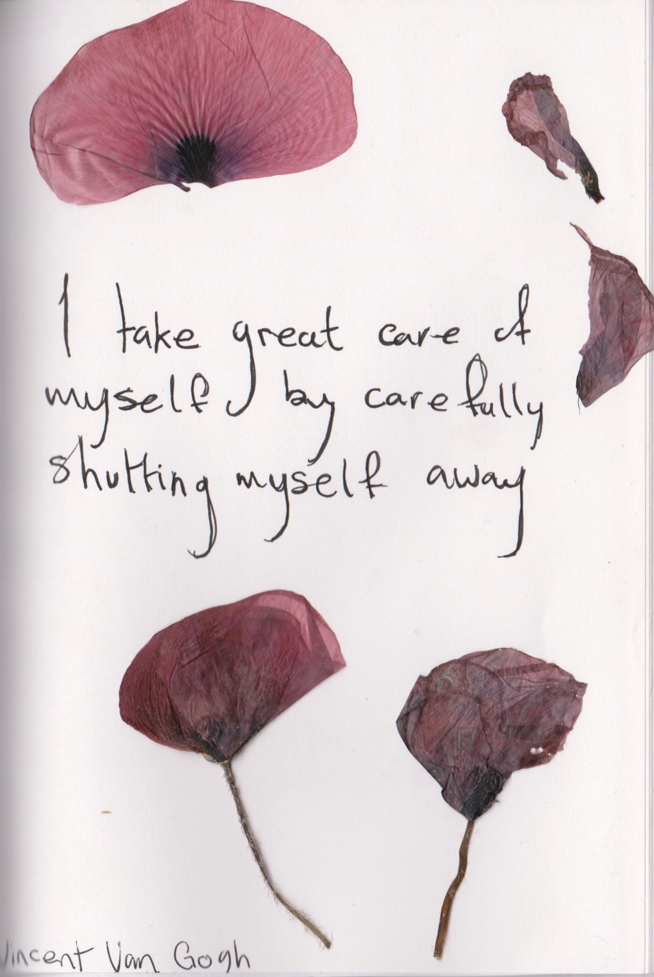 whatever-you-write:  I take great care of myself by carefully shutting myself away.-Vincent