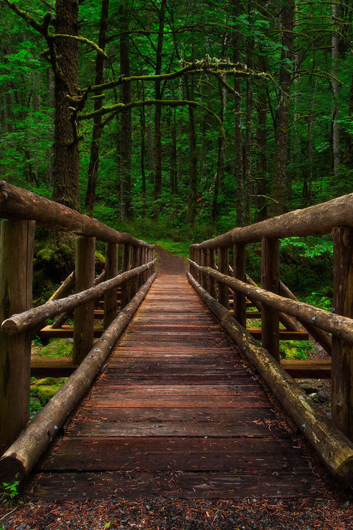 obscvred:  Source | Photographer 