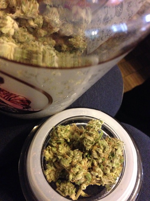 weedyindeedy: PlumTree#3 x Comatose hybrid, help come up with a name!?