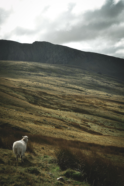 Llanberis Pass