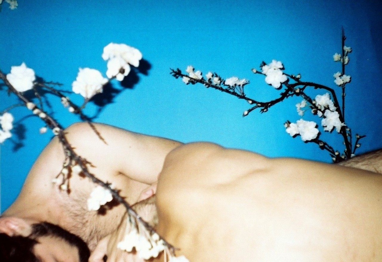 ruipalma:  Rapazes adormecidos sob céu azul falso com amendoeira em flor de plástico