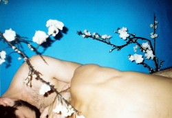 ruipalma:  Rapazes adormecidos sob céu azul falso com amendoeira em flor de plástico / Boys sleeping under fake blue sky with plastic almond flowers
