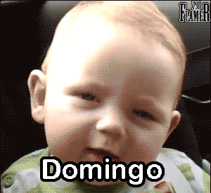 gordomamon:  Si, llego tarde pero esto es lo que hacemos todos.
