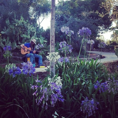 Beautifully lost in his music.. Sounded amazing! #parkgüell #music #busking #guitar #musician #stree