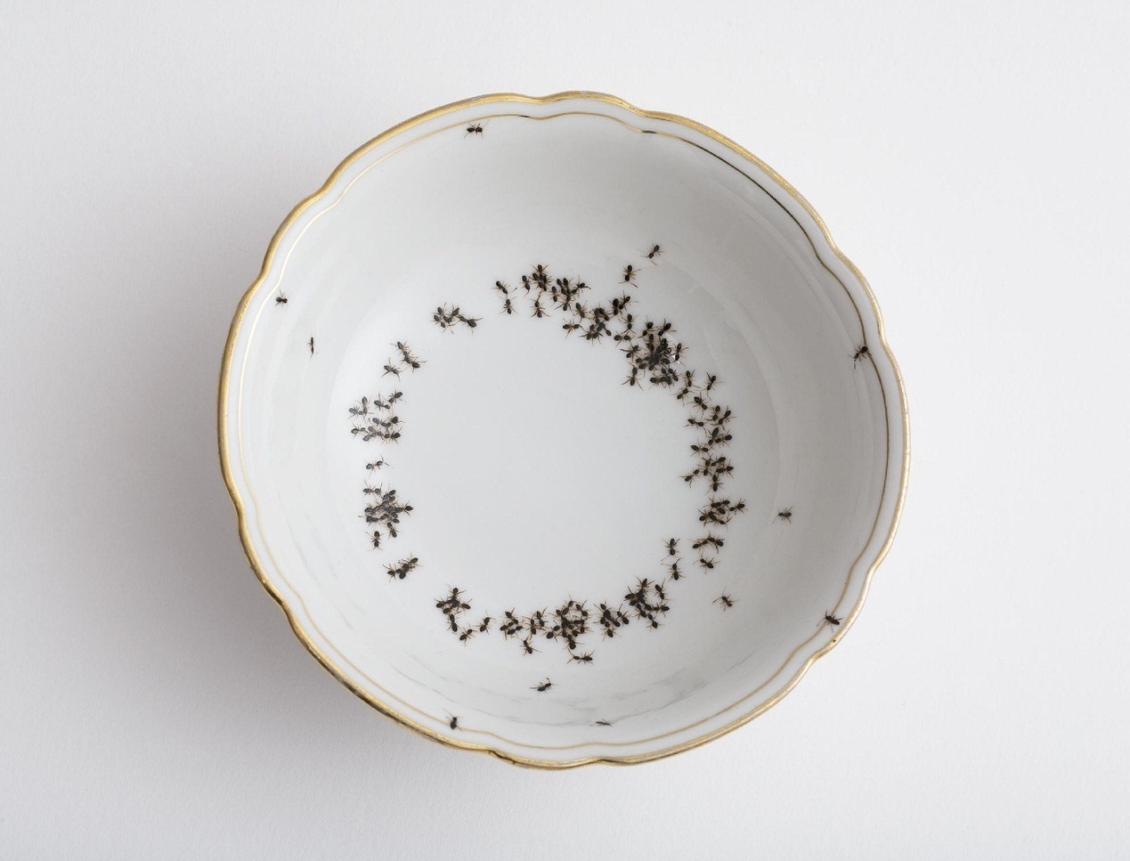gildedgravestones:  Vintage Porcelain Covered With Hand-Painted Ants   This would