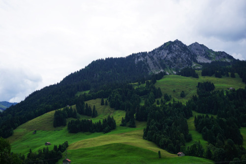 Swiss countryside #3.