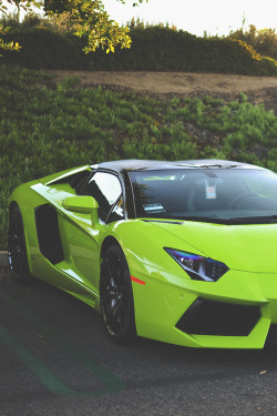 supercars-photography:   Lime Green Aventador