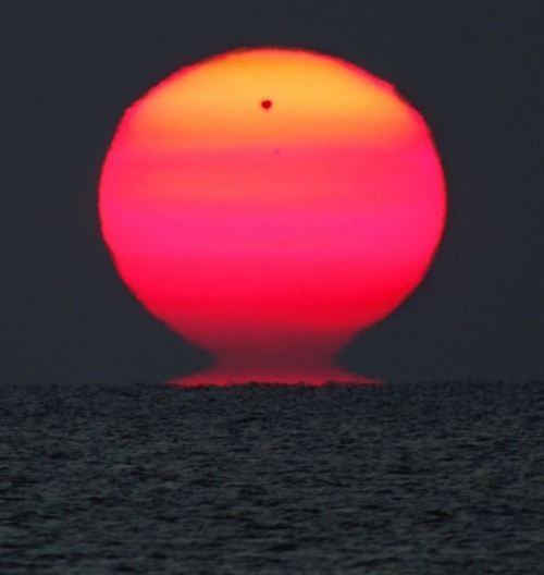 sciencealert:That’s Venus, spotted in transit across the rising Sun over the Black Sea, nbd. Living 