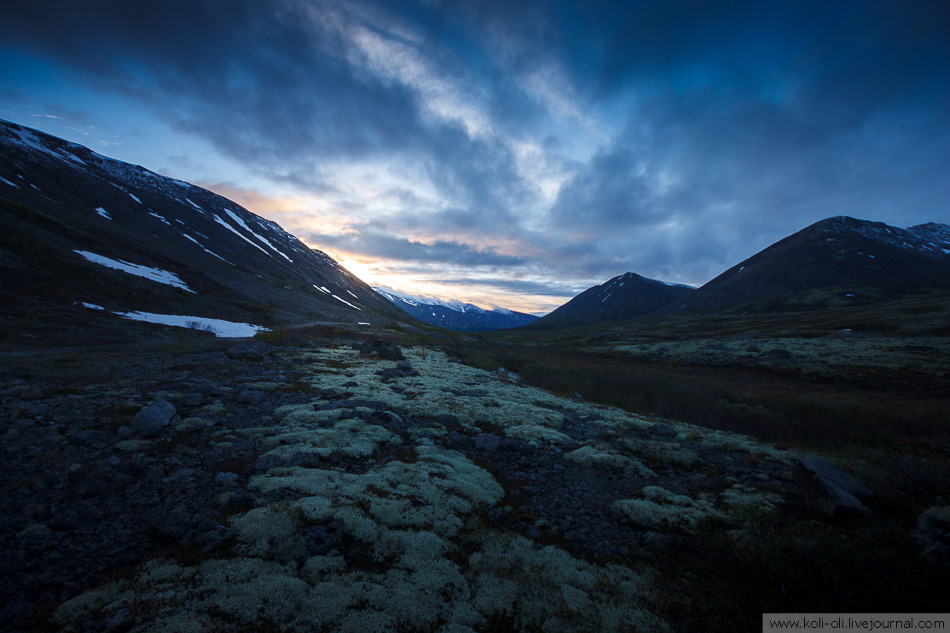 thebeautyofrussia: Little nature in the Khibiny Mountains, Kola Peninsula koli-oli