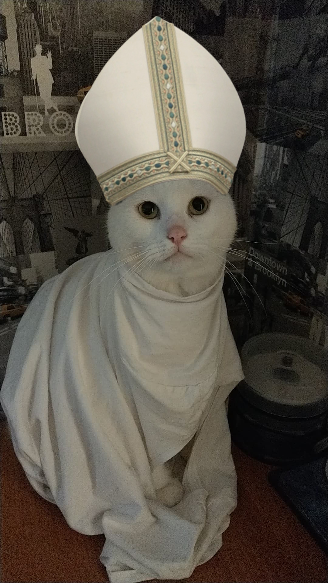 tea(r) — well my cat became a pope