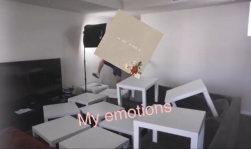 dani-wankenobi: I got a bit carried away making a meme that doesn’t even exist‍♀️