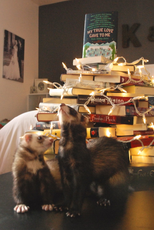 the-book-ferret: It’s a Book Ferret Christmas Book Tree!Happy Christmas from Quigley &amp