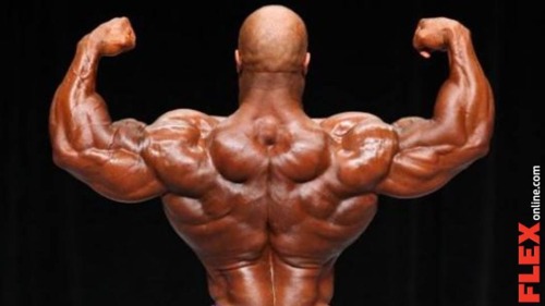 fdaab:  A nice back inspires and motivates me every time I watch the photos of these athletes. I am doing back today. So maybe I inspired you to do as well. Have a nice day.