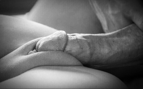 The Joy of Sex