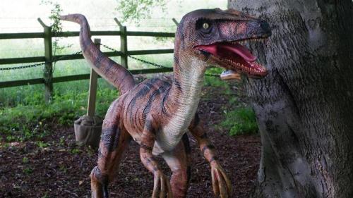 If you go down to the woods today&hellip;&hellip;&hellip;Do’yathinkesaurus