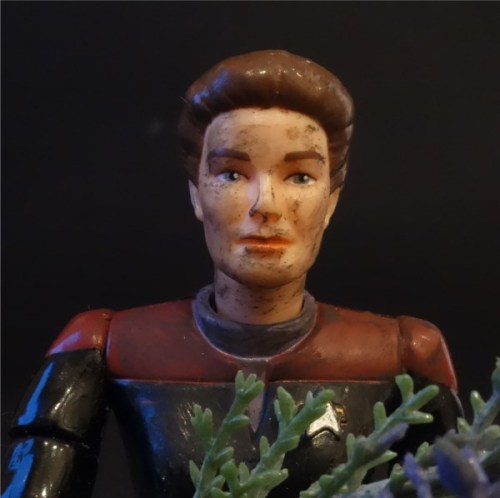 action-figures-in-action:Chakotay is on the search for some flowers for Valentine’s Day. But it does