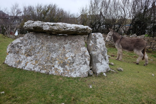 Llety’r Filiast Burial Chamber, Great Orme, Llandudno, North Wales, 11.2.17. This burial mound